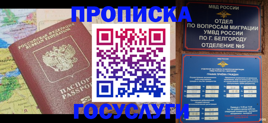 прописка регистрация в Жукове